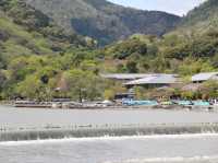 อาราชิยาม่า 