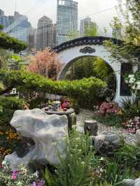 香港花卉展覽展出得獎園圃