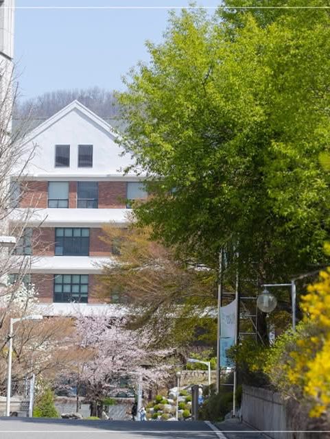 Chasing Sakura at Ehwa Women’s University 