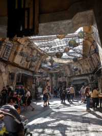【銀河へ旅立つ！】カリフォルニアディズニーのスター・ウォーズ：ギャラクシーズ・エッジ🌌✨