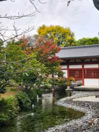 A Perfect Day in Uji: A Matcha Lover's Paradise!🍵