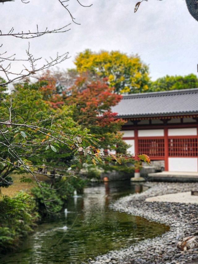 A Perfect Day in Uji: A Matcha Lover's Paradise!🍵