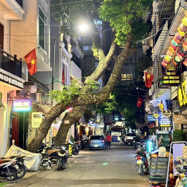 北越雙龍灣、沙壩、河內自由行
