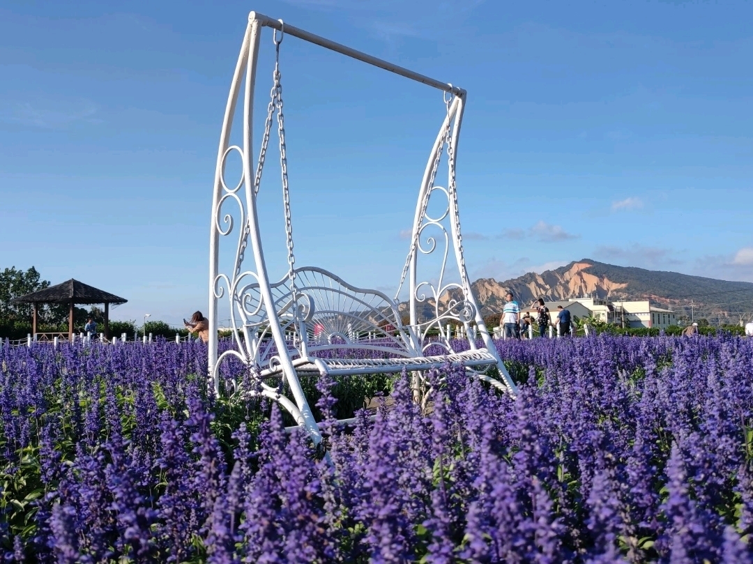 2026年 Zhongshe flower market taichung観光スポットおすすめ| Trip