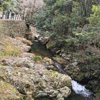 Minoo Park – "A Hidden Cherry Blossom Trail Near Osaka"