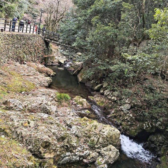 Minoo Park – "A Hidden Cherry Blossom Trail Near Osaka"