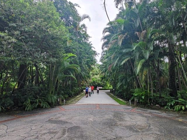 #臺北植物園-臺北市中正區