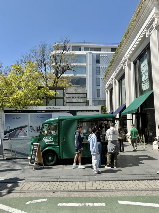 Spring Stroll in Blooming Omotesando🌷