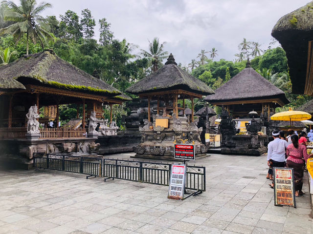 【バリ島】ティルタ ウンプル寺院 観光ガイド
