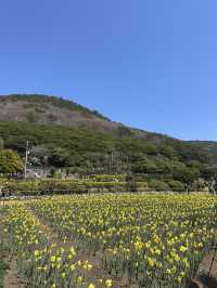 봄바람 맞으며 힐링~ 거제 공곶이💛 