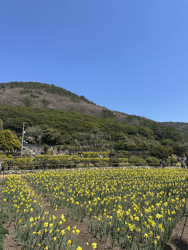 봄바람 맞으며 힐링~ 거제 공곶이💛 