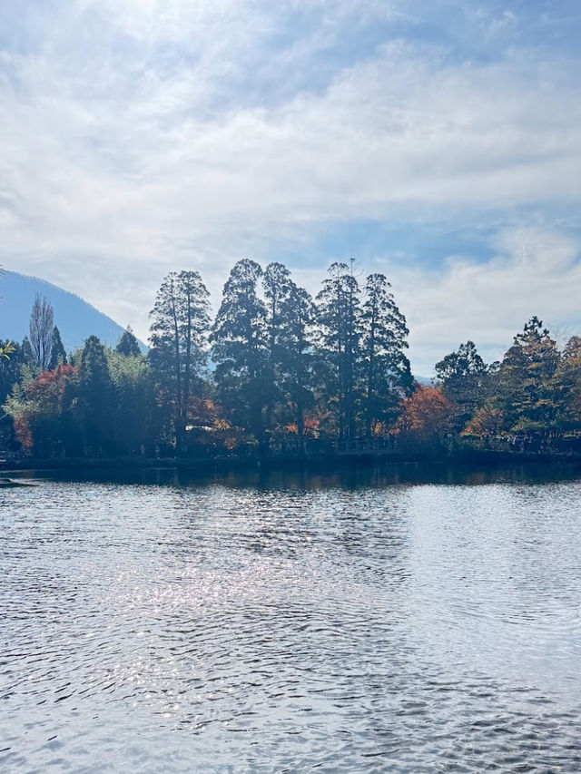 Kinrin Lake : ทะเลสาบคินริน แห่งเมืองยุฟูอิน 🍁