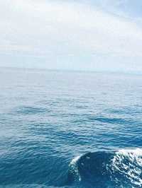 人生第一次船宿⛴️ 斯米蘭群島🏝️🤿