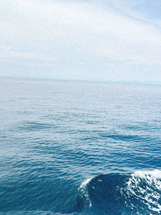 人生第一次船宿⛴️ 斯米蘭群島🏝️🤿