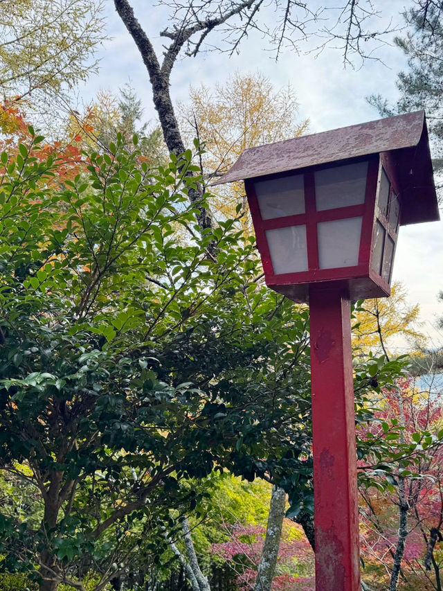 東京｜一日遊行程 ｜下吉田車站🏞️⛩️