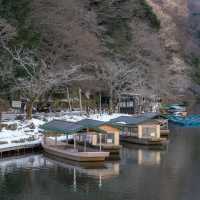 Arashiyama 🌿🍵