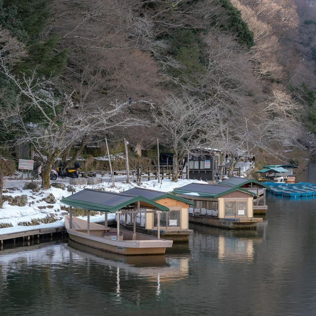 Arashiyama 🌿🍵