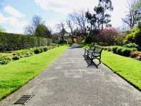 Breathe in Belfast: Spring at Botanic Gardens