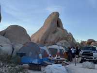 Joshua Tree🌴令到我沙漠依2個字有了實感🏜️