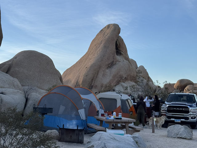 Joshua Tree🌴令到我沙漠依2個字有了實感🏜️