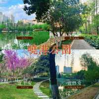 曉港公園~城市中的綠化地帶