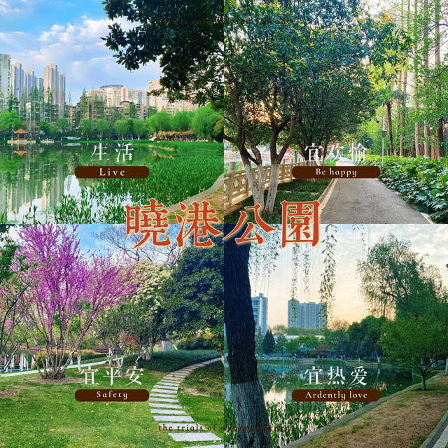 曉港公園~城市中的綠化地帶