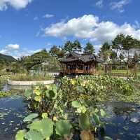 【セジョン】🇰🇷 国立セジョン樹木園