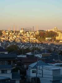 上星川あおぞら公園の景色