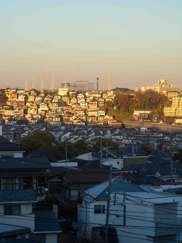 上星川あおぞら公園の景色