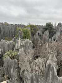 Shilin amazing stone forest