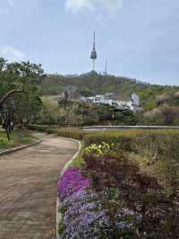 Namsan Seoul Tower — A Blossom-Filled Spring Escape in the Heart of Seoul