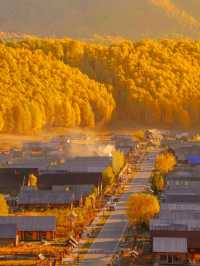Beneath the Birch: Discovering Altay’s Golden Season