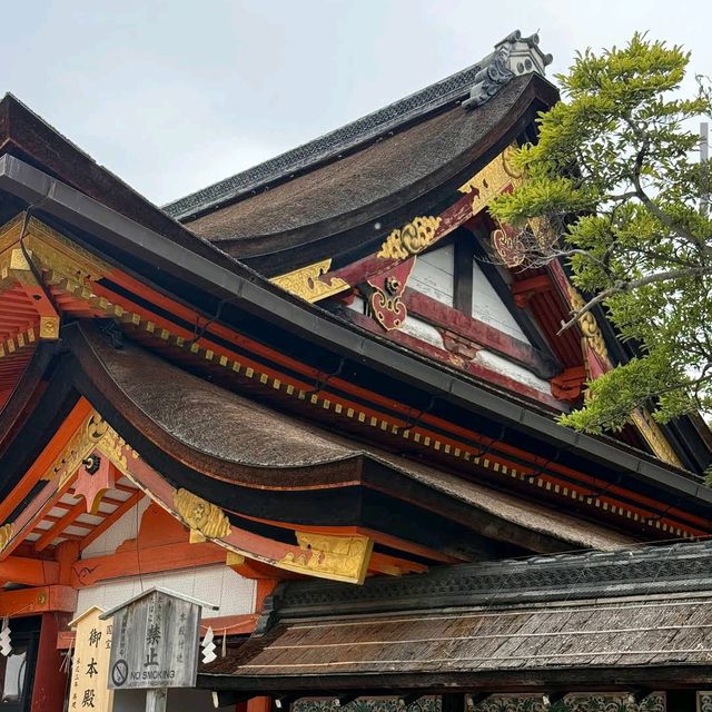 Maruyama Park, Kyoto