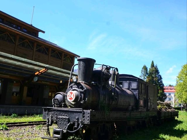 อาลีซาน 阿里山