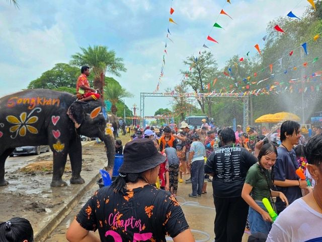 เล่นสงกรานต์กับช้าง ที่ อยุธยา 