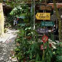 Nature’s Haven at Rainforest Tree House