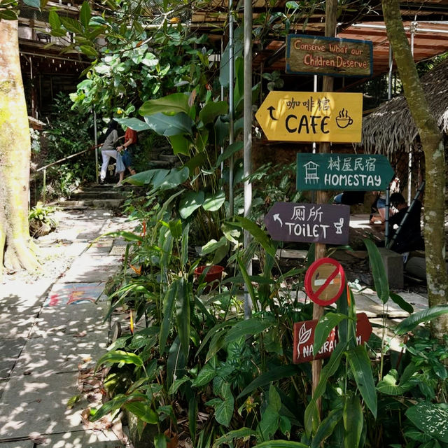 Nature’s Haven at Rainforest Tree House