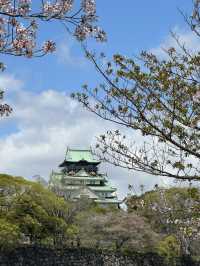 超靚😍🌸 大阪櫻花公園遊樂場 🌸 