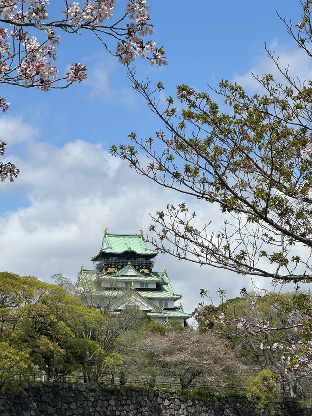 超靚😍🌸 大阪櫻花公園遊樂場 🌸 