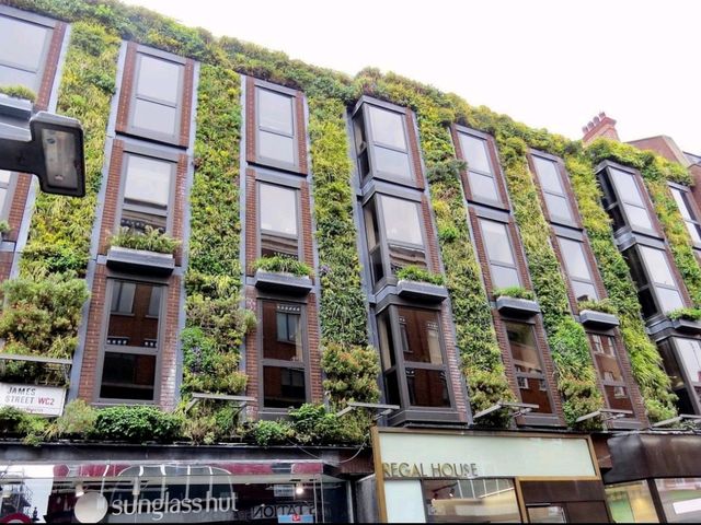 Experience the Vibrant Heart of London's Cultural Scene