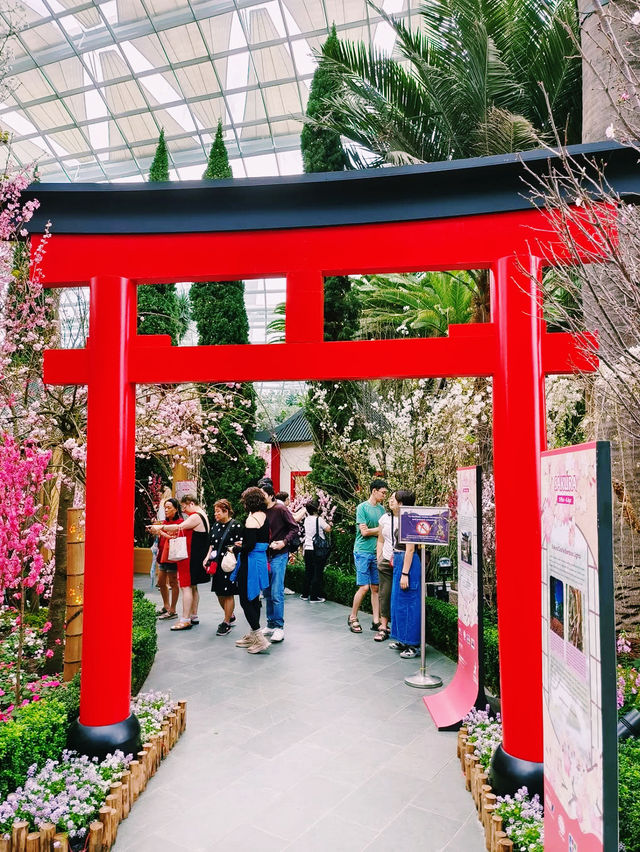 A Blossoming Experience at Gardens by the Bay