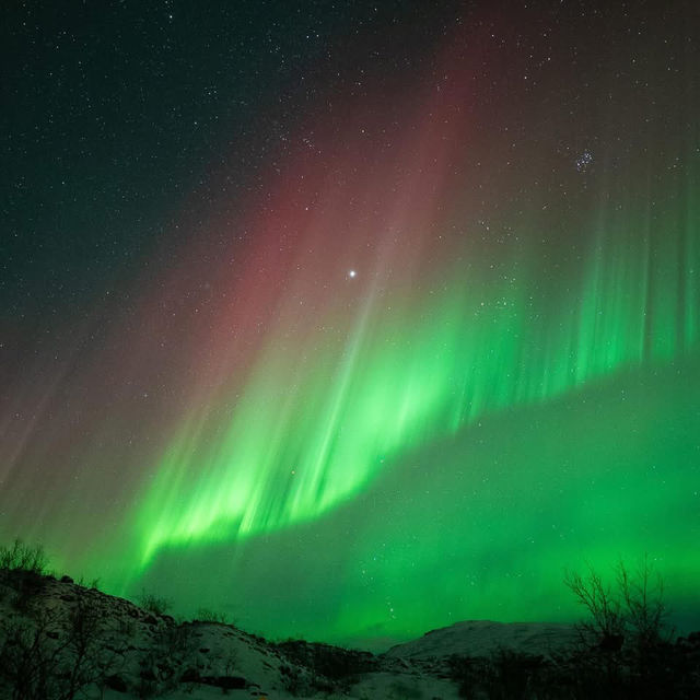 Chasing Aurora in Tromsø: Frozen Toes, Whale Snot, & the Night Sky’s Greatest Show ✨🌌