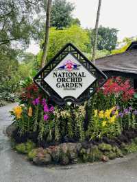 A Gem in the Heart of Singapore: National Orchid Garden