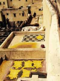 タンネリ(皮なめし職人地区) モロッコ　フェズ🇲🇦
