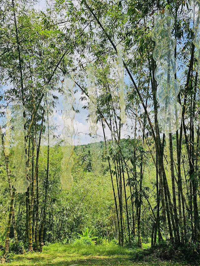 Bamboo-Themed Attraction ◄Putuo Village✨Purple Bamboo Valley► [KULAI@JOHOR]