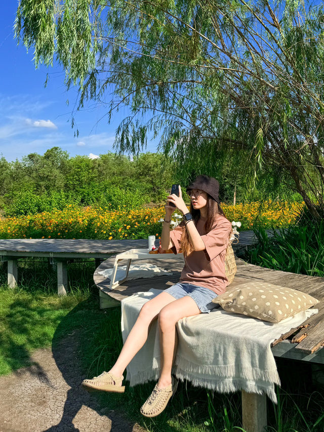 รีวิว Phamanfun ผาม่านฝัน ภูผาม่านขอนแก่น ✨💚