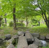 石神井公園 | 寧靜中的綠意