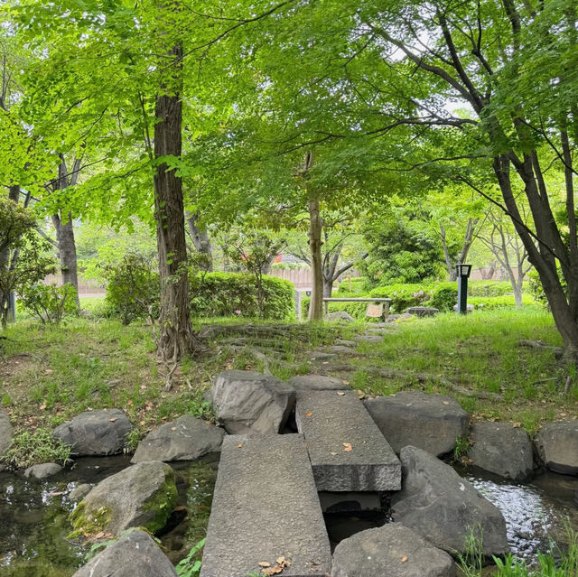 石神井公園 | 寧靜中的綠意