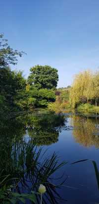 🎨 Fondation Monet in Giverny – 모네의 정원, 꿈같은 아침