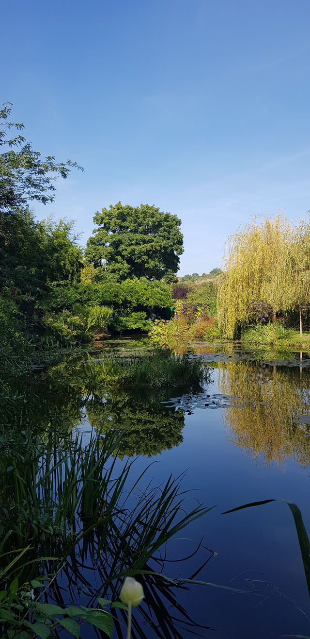 🎨 Fondation Monet in Giverny – 모네의 정원, 꿈같은 아침